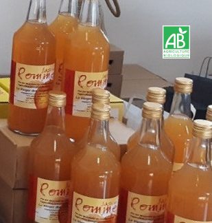 Jus de pommes bio 1L