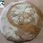 Pain Bio Engrain 500 gr