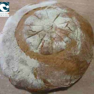 Pain Bio Engrain 500 gr