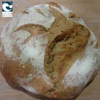 Pain Bio Petite boule blé 500 gr