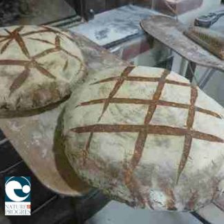 Pain Bio Tourte 2 kg