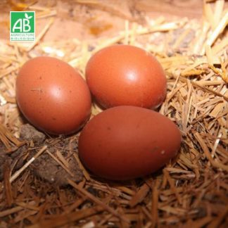 oeufs_bio
