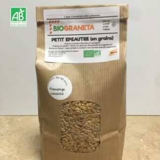 petit epautre bio en grains