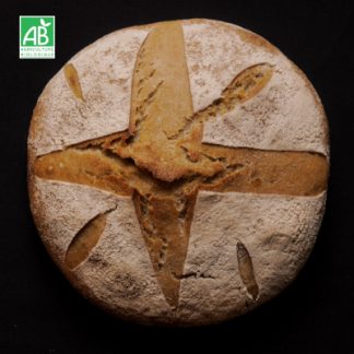 pain Blé population bio