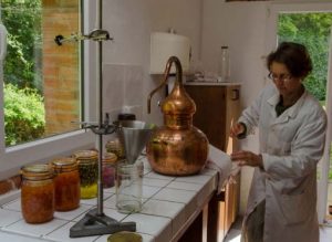 Labo Camèline extraits de plantes ou de produits de la ruche