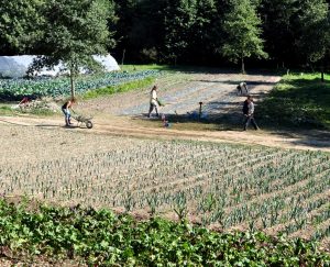 les jardins du volvestre-réseau Cocagne
