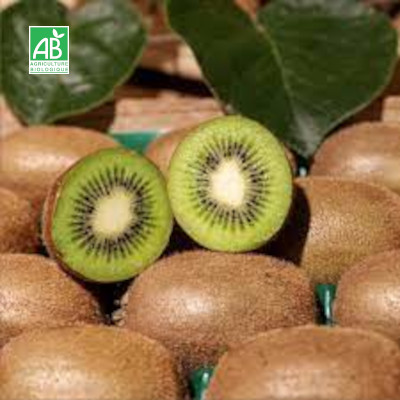 Kiwis bio, 5 kg Commandez maintenant pour livraison mardi 4 nov.
