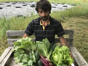 ferme des margalides