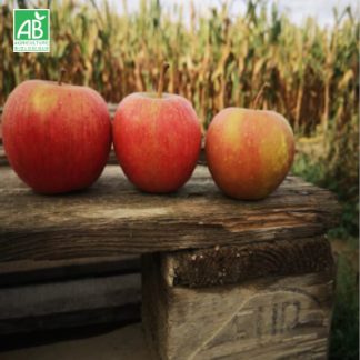 Pomme Bio Chanteloup