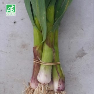 Aillet_bio