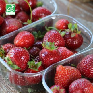 Fraises_Bio