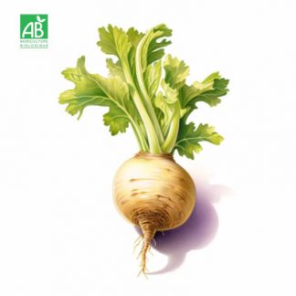 Navet_Bio