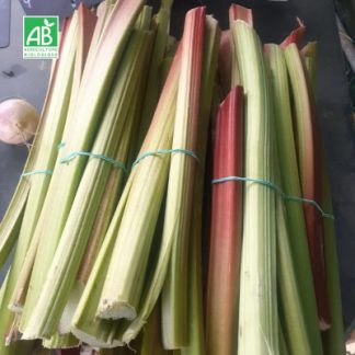 RhubardeBotteBio