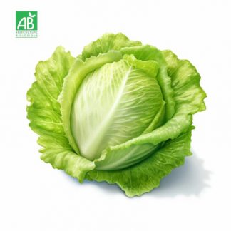 Salade-Carmen_bio