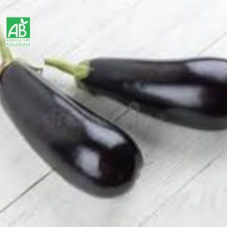 Aubergine_bio_Noire