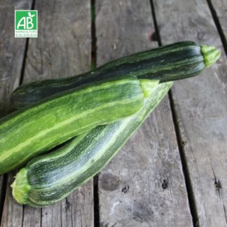 Courgette_bio