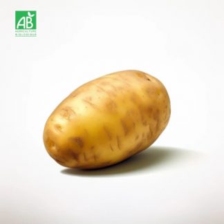 pomme_de_terre_bio