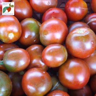 tomates_de_saison
