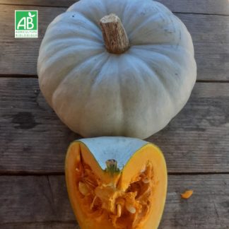 Courge_bleue_de_hongrie_bio