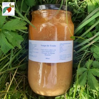 soupe_de_truite