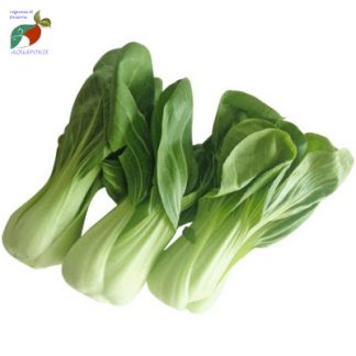 pak-choi aquaponie_